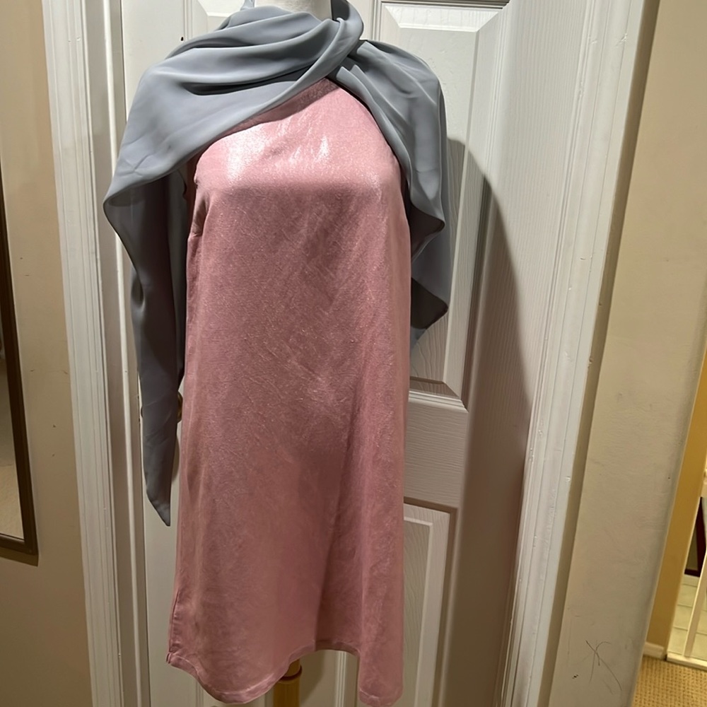 LOFT Pink Dress